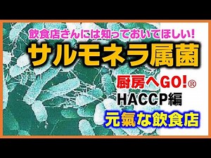 飲食店さんには知っておいてほしい！ 食中毒 サルモネラ属菌