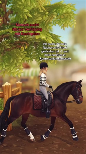 Was ich such: Sportlich im springbereich, eher jünger und hohes portenial im Springen und mit Kaufoption ‼️ Zu mir: 15 Jahre alt 178 und 55kg springen L/M Dressur A/L #sso #rrp #rb #rip #rbgesucht