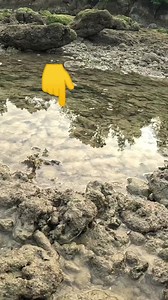 Ibang palatandaan na may bug-atan/clam shell, may katabi pang saang | Swasin explorer