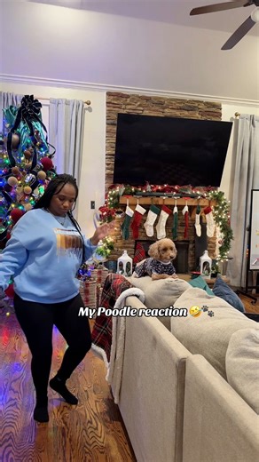 2.8K views · 48 reactions | Horses in the stable challenge 藍#viral#fyp #horsesinthestable | Grow With The Colemans | Facebook