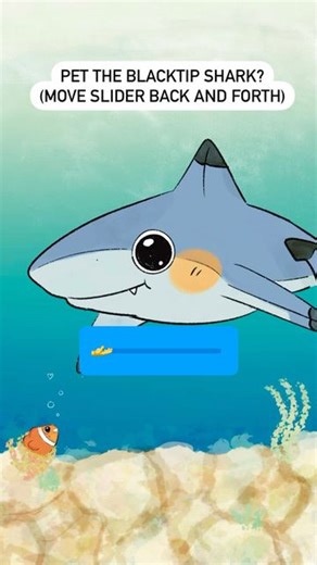 Tulip | Thank you for petting the blacktip shark! I realise it’s been a while since drawing a shark so I thought it was a shark art kind of day... | Instagram