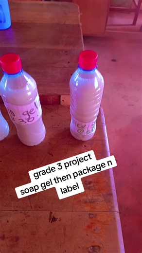 Grade 3 Soap Gel Project: Finished Packaged Products