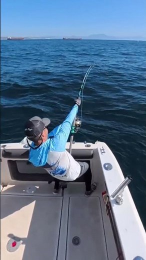 The tension on this rod / fish are incredible! The Collosus handling it!