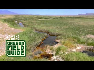 Oregon's Steens Mountain and Alvord Desert