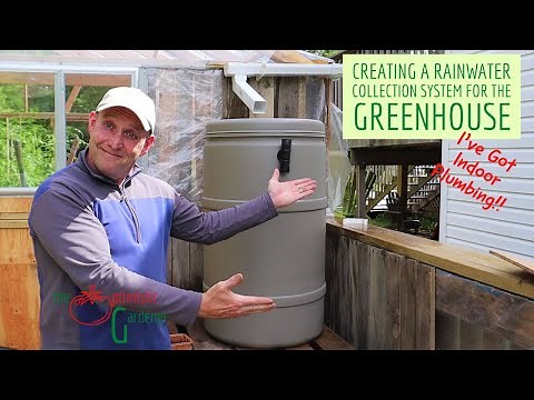 How to Create a Rainwater Collection System for Your Greenhouse