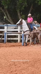 Team Roping Brasil on Reels