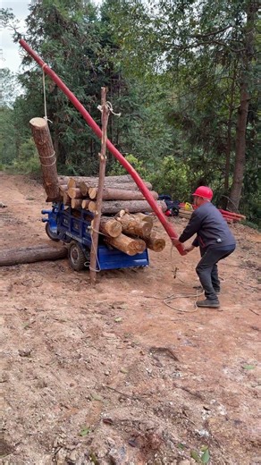 Log Lifting Tool, Just Rope & Stick