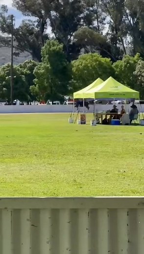 Grand champion Pleasure Horse - 3 Gaited #UniondaleShow | Saddlebred Society of South Africa