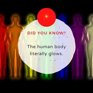 The human body literally glows. | Karan Gupta Consulting | Facebook