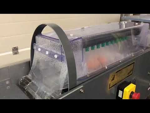 Egg Washing Machine BAMBINO