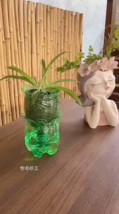 Creative way to recycle plastic | Plastic Recycling Art