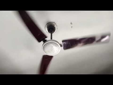 Ceiling fan goofy video | ceiling fan goofy hunter | ceiling fan goofy national