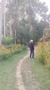 4.6K reactions · 99 shares | #dekho mene dekha hai | Rajib Kro | Facebook