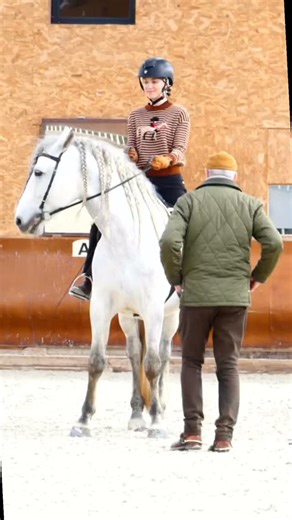 Classical Dressage Rider | Trainer | Online Classes on Instagram: "Training session with Mr Philippe Karl on a very special day: he and his emblematic, elegant gelding High Noon are together a 100 years today, with High Noon celebrating his 21th birthday 🎂 Torero RAM and me have been here in France 3 months now, meaning 1/4 of our internship! This month, our menu was extended by halfpasses and travers on a circles in trot. We also started counter-cantering. On this video though, you can see a v