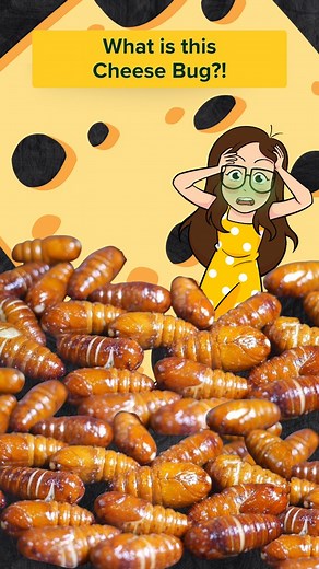 46K views · 528 reactions | I don’t know… but something tells me it doesn’t taste like cheese. #cheese #cheesefondue #silkworm #mukbang #justkeepthinking #BioGirlMJ | Just Keep Thinking | Facebook