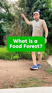 5.9K views · 81 reactions | Have you visited a food forest?  If...