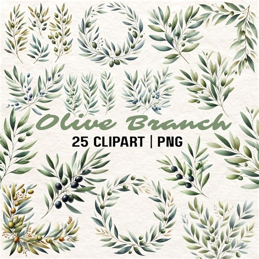 25 Watercolor Olive Branch Clipart: Botanical Greenery PNG (digital Download) - Etsy