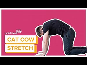 How to Do a Cat-Cow Stretch | Exercise with PartnerMD