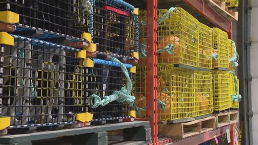 Fisheries gearing up to protect whales