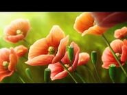 Re- The Ancient Magus’ Bride23211713