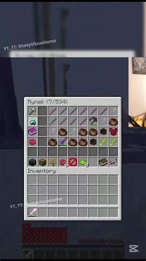 Sagi padł na RTP: Anarchia w Minecraft