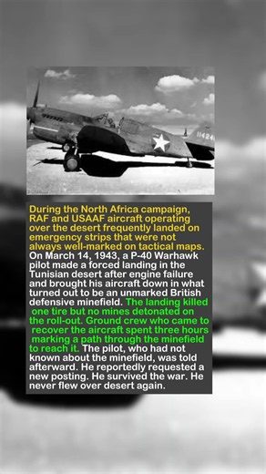 He Landed In A Minefield To Save His Crew — And Had No Idea It Was There