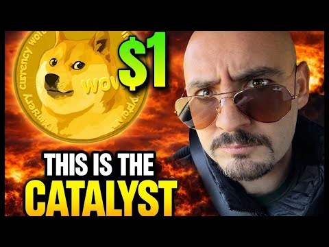 Can DOGE Go To $1? (DOGECOIN NEWS!)