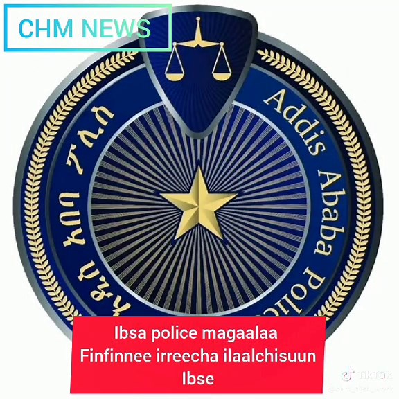 Addis Ababa Police Insights on TikTok