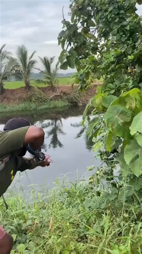 FISH HUNTER on Instagram: "Sling shot കൊണ്ട് കരിമീൻ വേട്ട 💥😇😇"