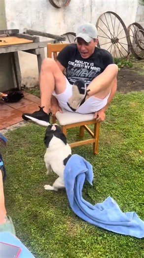 French Bulldog Communities on Instagram: "Play with French Bulldog😆😆 : Credit @yamilapalombo : DM for Credit or removal! : #frenchiestagram #frenchiesoverload #frenchioftheday franz frenchbulldogstud instafrenchbulldog ilovemyfrenchbulldog frenchibulldog frenchiesbulldog frenchiethebulldog bulldogfrench bluefrenchbulldog frenchbulldogsrule frenchbulldogsofinsta dogstagramfrenchies french_bulldoglovers frencies1 frenchibulldoglife frenchielifestyle frenchiepups"