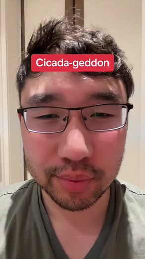 Cicada-Geddon: Unprecedented Emergence of 100 Trillion Cicadas