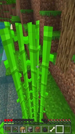 Minecraft, But Gravity Reverses Every Minute