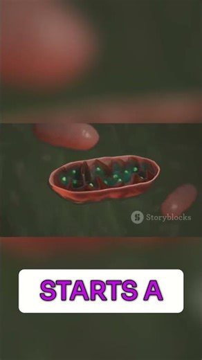 Cellular Respiration: Your Cells' Energy Drink Explained!