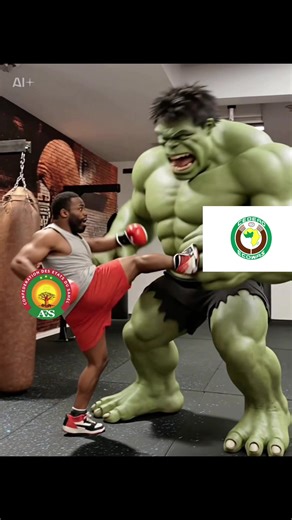 AES vs Cedeao 🇳🇪🇧🇫🇲🇱🦾