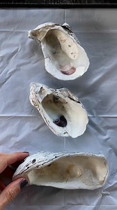 50K views · 1.2K reactions | Some lovely and romantic ring dishes made from oyster shells this time! I’ve used paint, liquid silver leaf, mod podge, paper napkins, antique silver vintage metal stampings and little freshwater pearls for this creative mission. Find these finished little dishes in my shoppe: https://thevintageangelllc.etsy.com #oystershellart #crafttutorial #seashellcrafts #trinketdish #decoupage | The Vintage Angel | Facebook