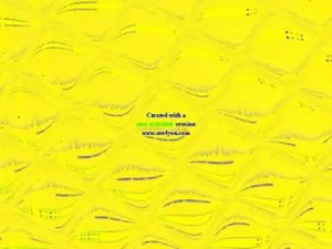 Starry Night Productions 3 Preview 2 Effects