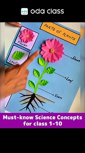 732 reactions · 60 shares |  Boost Academic Success! →https://peurl.in/BR4v ✨ Enroll in Classes 1-10! ✅ 10,000,000+ parents on board! ✅ Double speed in 6 days! ✅ 50+ Maths tricks & Science concepts! | Oda Class | Facebook