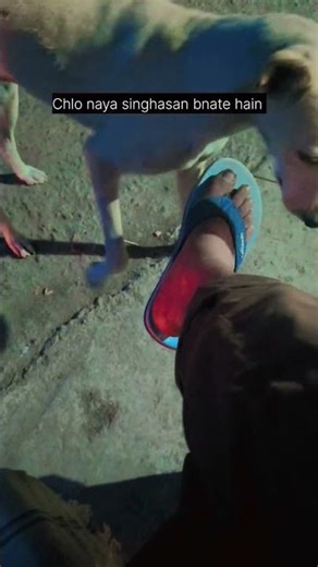 T2 ka hua singhasan chhori .