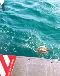 325K views · 2.7K reactions | Repost from @brittanystembridge T U R...