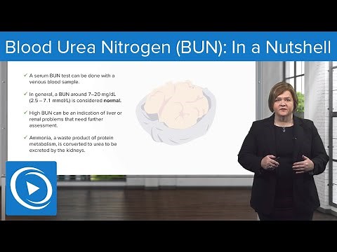 Blood Urea Nitrogen (BUN): In a Nutshell –Med-Surg | Lecturio Nursing