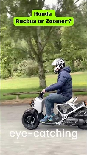 Honda Ruckus or Zoomer NPS50