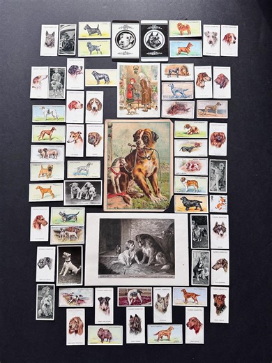 Katie 🩵 Elegance & Simplicity At Home on Instagram: "🐾Doggies 4 Sale🦴 Pricing does not include shipping. Swipe to see map and details! If you don’t see your breed, ask me because I have about 100 other cards! ALL TRADING CARDS ARE 5, Litho pieces priced as marked. A - Player’s Cigarettes Trading Cards (all color vertical trade cards/1926) Scottish Terrier B - Carrera’s Limited Cigarettes Trading Cards, 1936. Black Lab - SOLD C - Will’s Cigarettes Trading Cards, 1937 - Sco