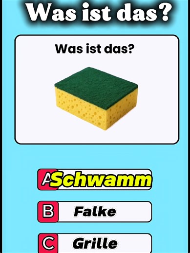DEUTSCH #quiztime #germany #learngerman #viral #knowledge #fyp