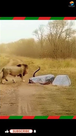 Nature’s Most Dangerous Mistake ll TOT FACTS