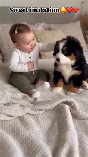 2.2K views · 958 reactions | Sweet imitation殺❤️❤️ | Things happening around | Facebook