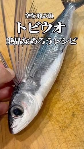 トビウオの1番美味しい食べ方！トビウオを使ったなめろう #料理 #魚 #トビウオ #釣り #レシピ