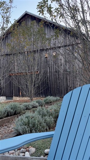 Throwback Thursday🎤🎶 Sound on! The time change has made us nostalgic for warm fall evenings and sunsets after dinner not before. 😜 So we are throwing it back to October 2025 and a rehearsal in the barn. We've been told this is the best seat in the house. #rehearsal #livemusic #FallBack #bestseatinthehouse #barn | TheEdge1984