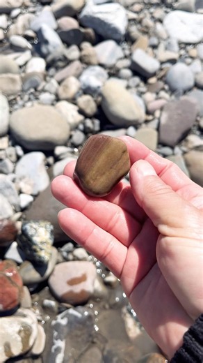 Jasper stone #beautiful #crystals #new #rockhounding #usa #gemstone #quartz #nature #wrold #god