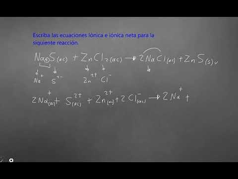 Ecuación Iónica e iónica neta