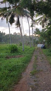 523 reactions · 17 comments | 殺殺 | Abhilash Plavadiyil | Facebook